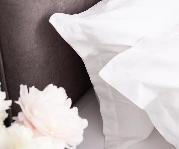 Lulu - Blueberry アパート ゴーレム